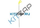 ��� ������ �����