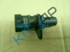 ������ ��������� �����������