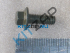 ���� ����� ���������������