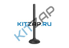 ������ ���������